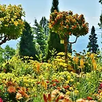 - The Niu, Flower By Ihg 호텔 콘스탄츠
