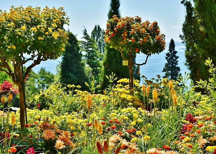 - The Niu, Flower By Ihg Hotel Kostnice